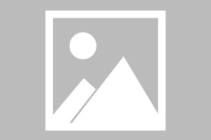 体育APP-广厦男篮最新消息
